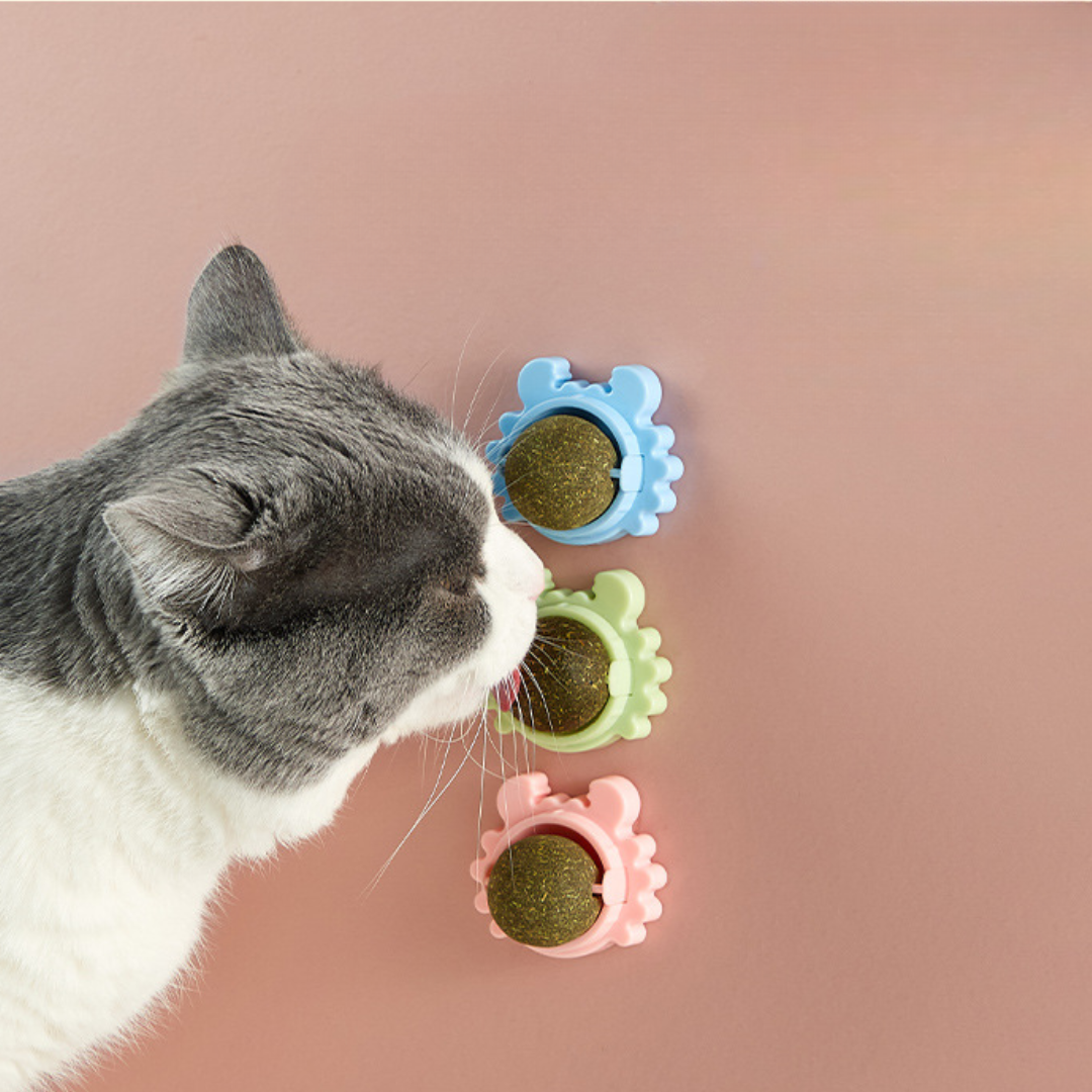 ⚡ VALENTINE’S FLASH DEAL! $9.63/Crab Cat Toy (3-Pack 60% OFF) + FREE SHIPPING Over $35 🐱