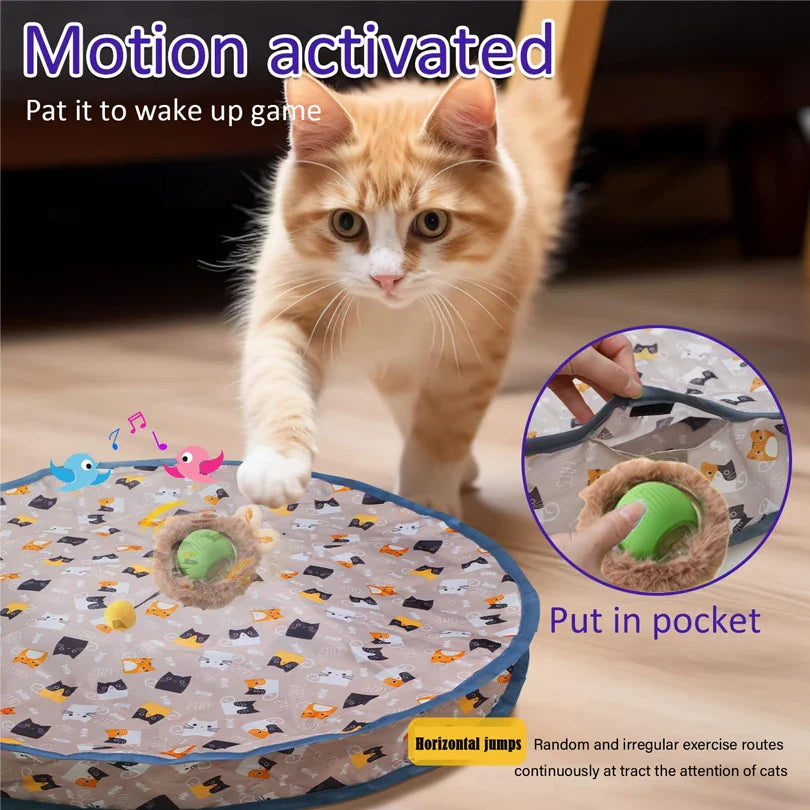 Run Run Interactive Cat Toy™