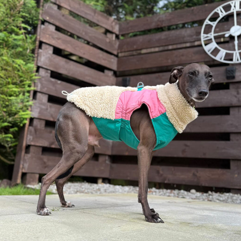Winter Fleece Whippet Dog Vests Warm Vest Pet Clothes
