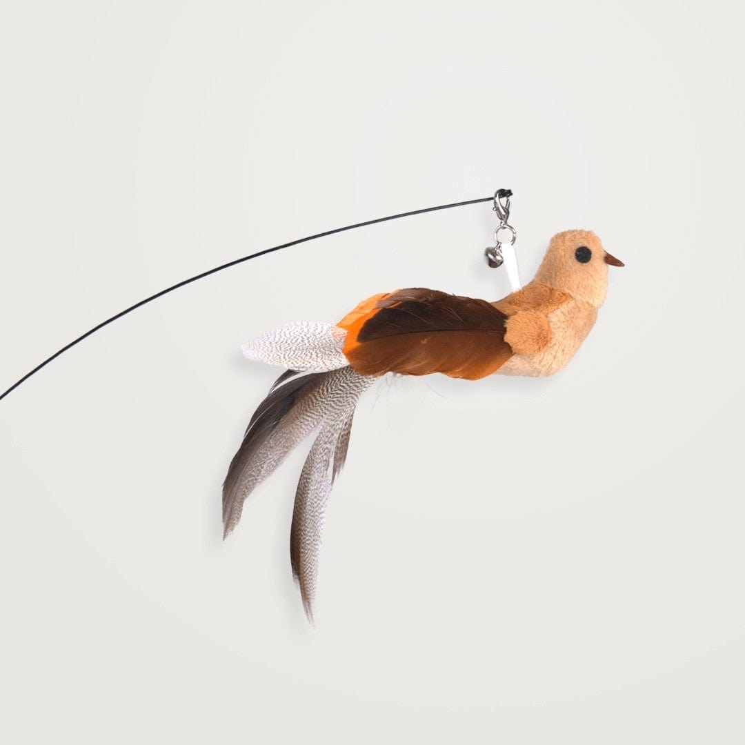 Interactive Bird Simulation Cat Toy Set | Leo's Paw