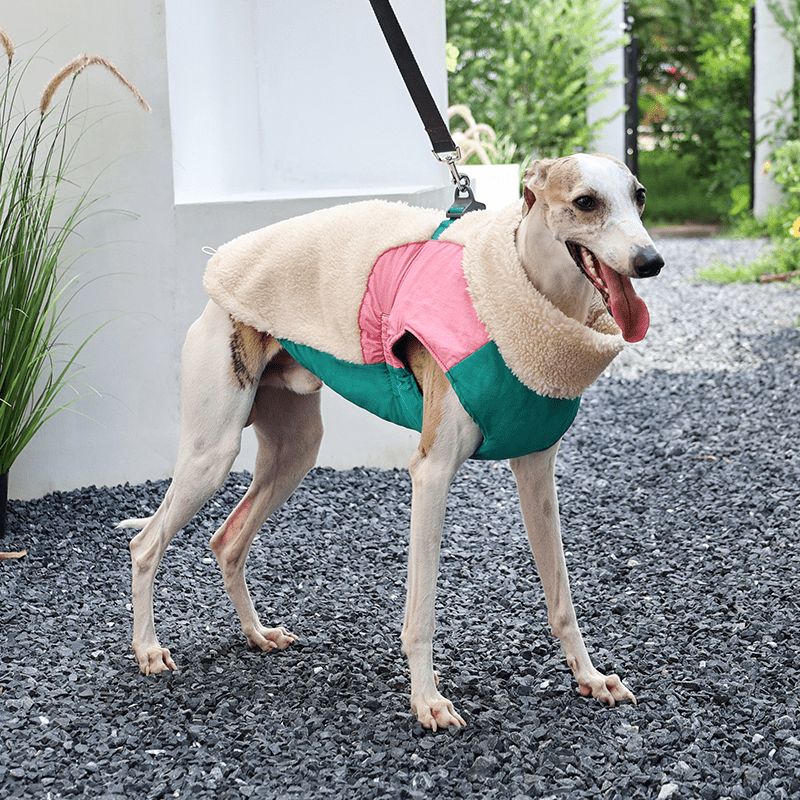 Winter Fleece Whippet Dog Vests Warm Vest Pet Clothes